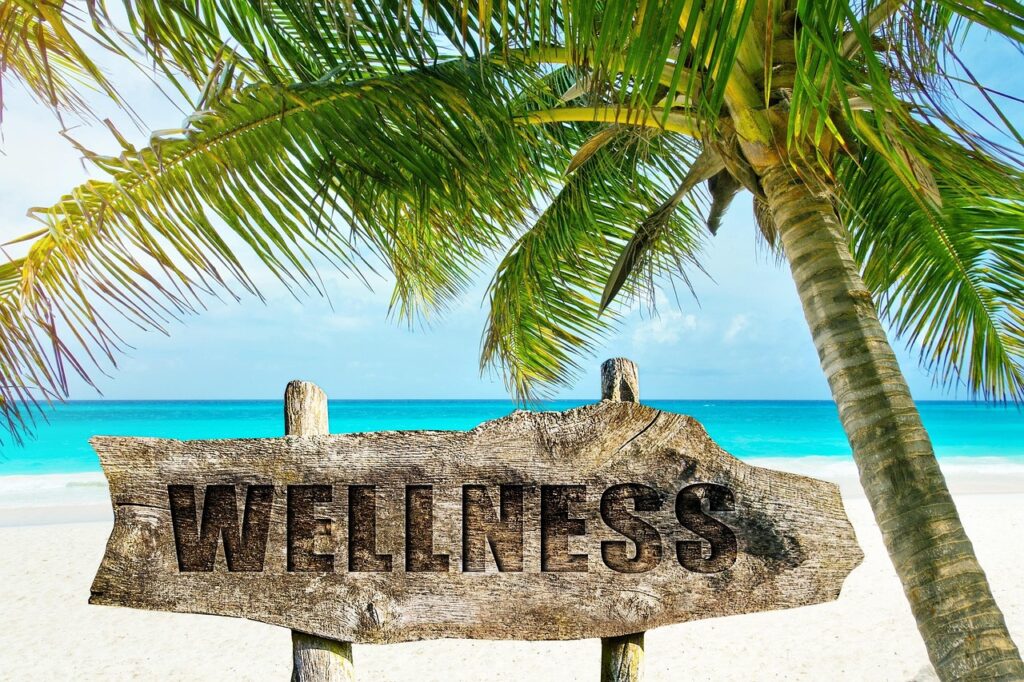 What Is Wellness And Fitness – Here’s The Answer