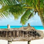 What Is Wellness And Fitness – Here’s The Answer