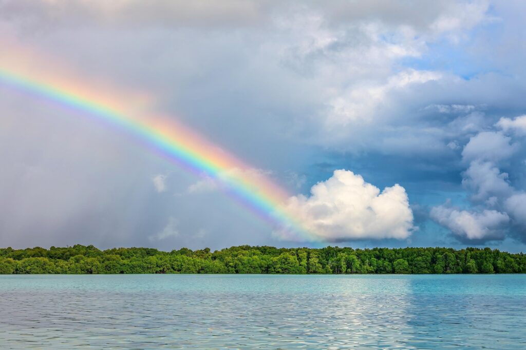 Transcendental Meditation Techniques For Beginners- Great For Wellbeing