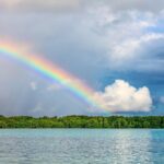 Transcendental Meditation Techniques For Beginners- Great For Wellbeing