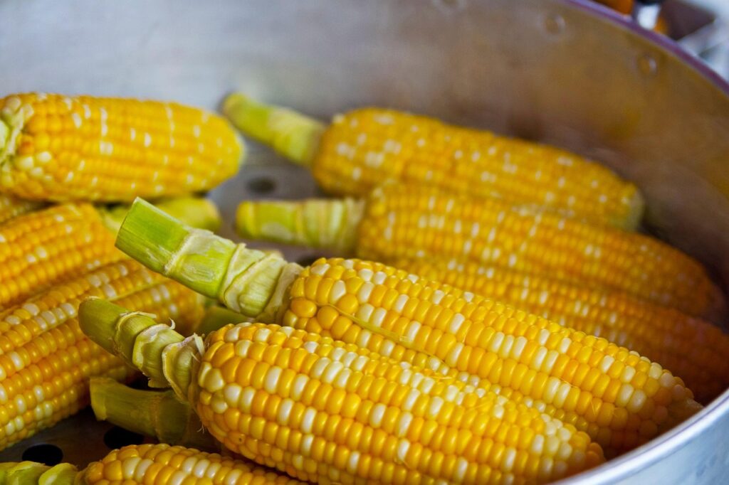 Corn on the cob